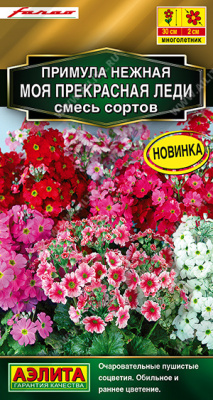 Примула Моя прекрасная леди (а)
