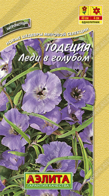 Леди в голубом годеция (а)