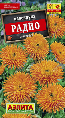 Радио махровая календула 50см 0,5г (а)