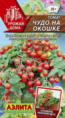 Чудо на окошке томат (а)
