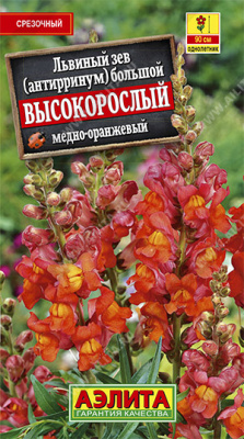 Высокорослый медно-оражневый львиный зев (а)