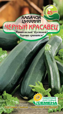 Черный красавец кабачок цуккини 10шт Р(ссс)
