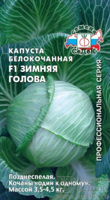 Зимняя голова (с)