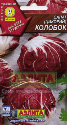Колобок (цикорий) салат 0,5г (а)