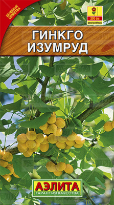 Гинкго Изумруд (а)