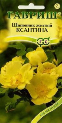 Шиповник Ксантина желтый мн 2,5м 0,1г (г)