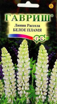Рассела Белое пламя люпин мн.100см 0,5гр (г)