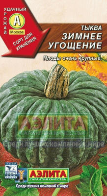 Зимнее угощение крупноплодная тыква 1гр (а)