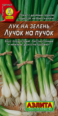 Лучок на пучок лук на зелень (а)