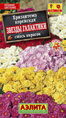 Звезды галактики,смесь окрасок хризантема (а)