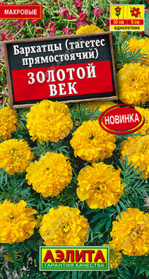 Золотой век (а)