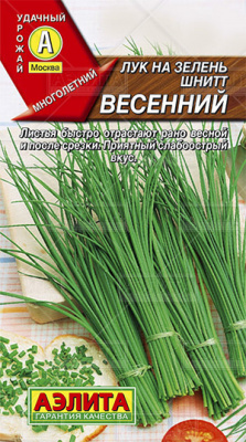 Весенний лук на зелень шнитт (а)