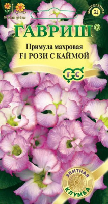 Роззи с каймой, примула махровая 3шт (г)