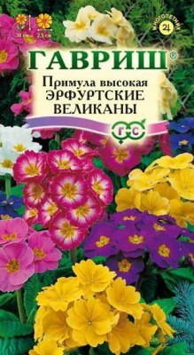 Примула Эрфуртские великаны 20шт (г)