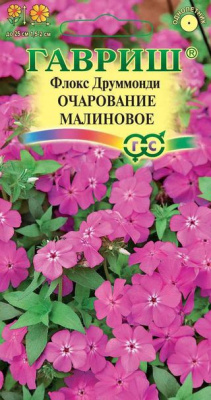 Очарование малиновое друммонда флокс 0,05гр (г)