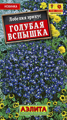 Голубая вспышка лобелия (а)