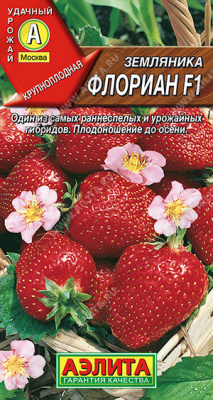 Флориан F1 земляника 5шт (а)