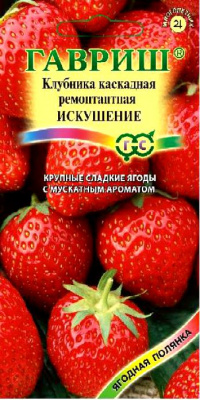 Искушение ампельная клубника 10шт (г)
