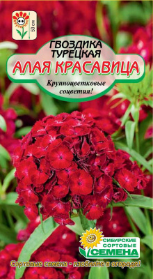 Алая красавица турецкая гвоздика 0,1гр (ссс)