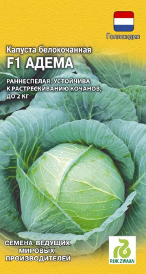 Адема (г)