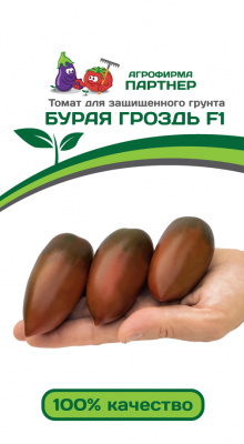Бурая гроздь F1 томат 10шт (2-ной пак.) (п)