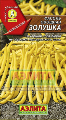 Золушка овощная фасоль (а)