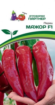 Мажор