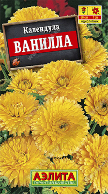 Ванилла календула (а)