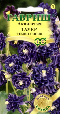 Тауэр темно-синяя мн. аквилегия 70см 10шт (г)