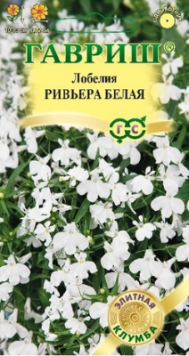 Ривьера Белая лобелия 4шт (г)