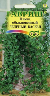 Плющ Зеленый каскад обыкновенный 3шт (г)