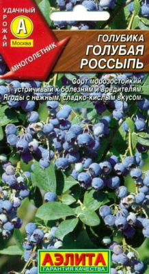 Голубика Голубая россыпь (а)