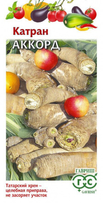 Катран Аккорд (г)