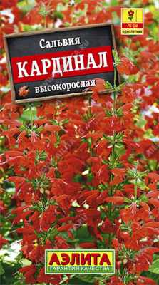 Кардинал сальвия 0,1гр (а)