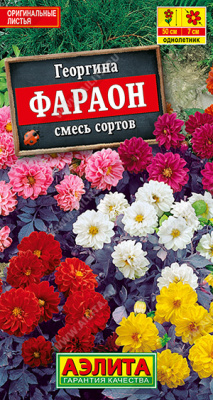 Фараон смесь георгина 35см 0,3гр (а)