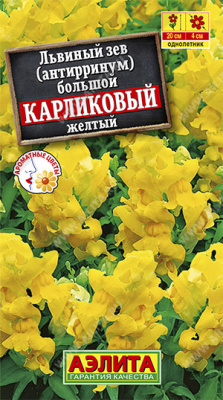 Карликовый Желтый львиный зев 20см 10шт (а)