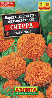 Сиерра оранжевые бархатцы (а)