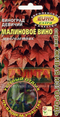 Виноград девичий Малиновое вино 10шт (а)