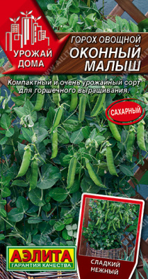 Оконный малыш горох овощной 5шт (а)