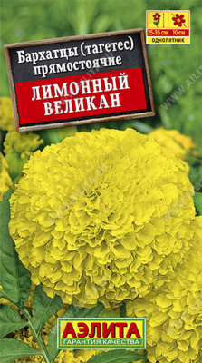Лимонный великан прямостоячие 50см бархатцы  (а)