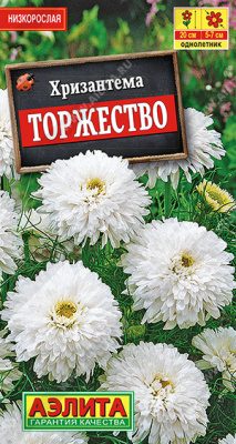 Торжество букетная хризантема 0,1гр (а)