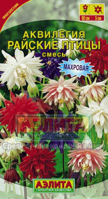 Райские птицы, смесь многолет. аквилегия 80см (а)