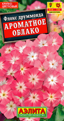 Ароматное облако крупноцветковый флокс (а)