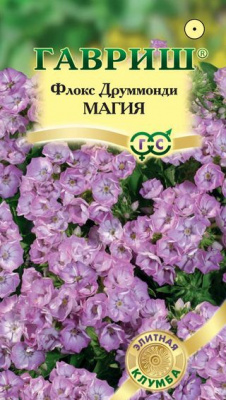 Магия друммонда флокс 8шт (г)