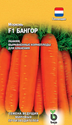 Бангор 1