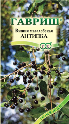 Вишня Антипика махалебская 1гр (г)